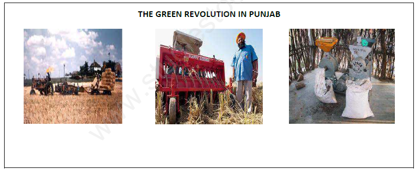 CBSE Class 9 Social Science The Story Of Village Palampur Assignment Set B